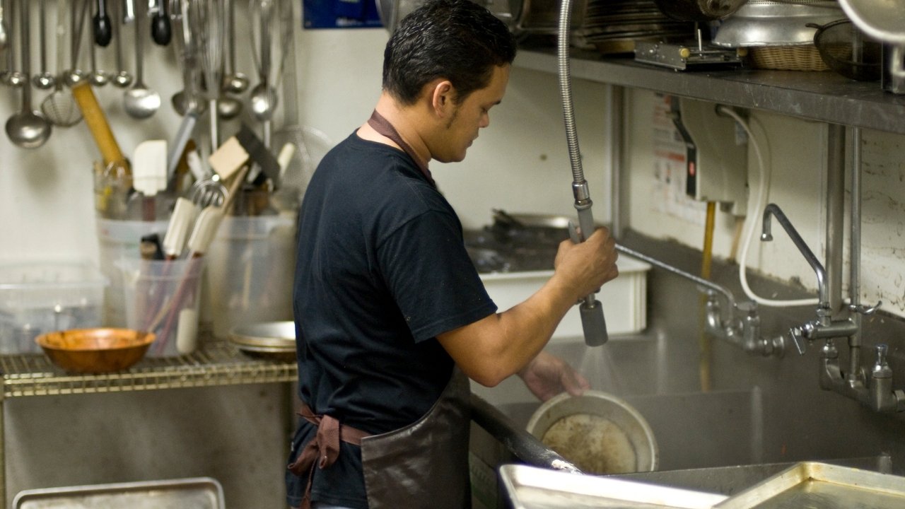 Commercial Dishwasher Guide: Washtech vs Hobart vs Winterhalter