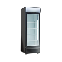 Exquisite DC400P One Glass Door Upright Refrigerator