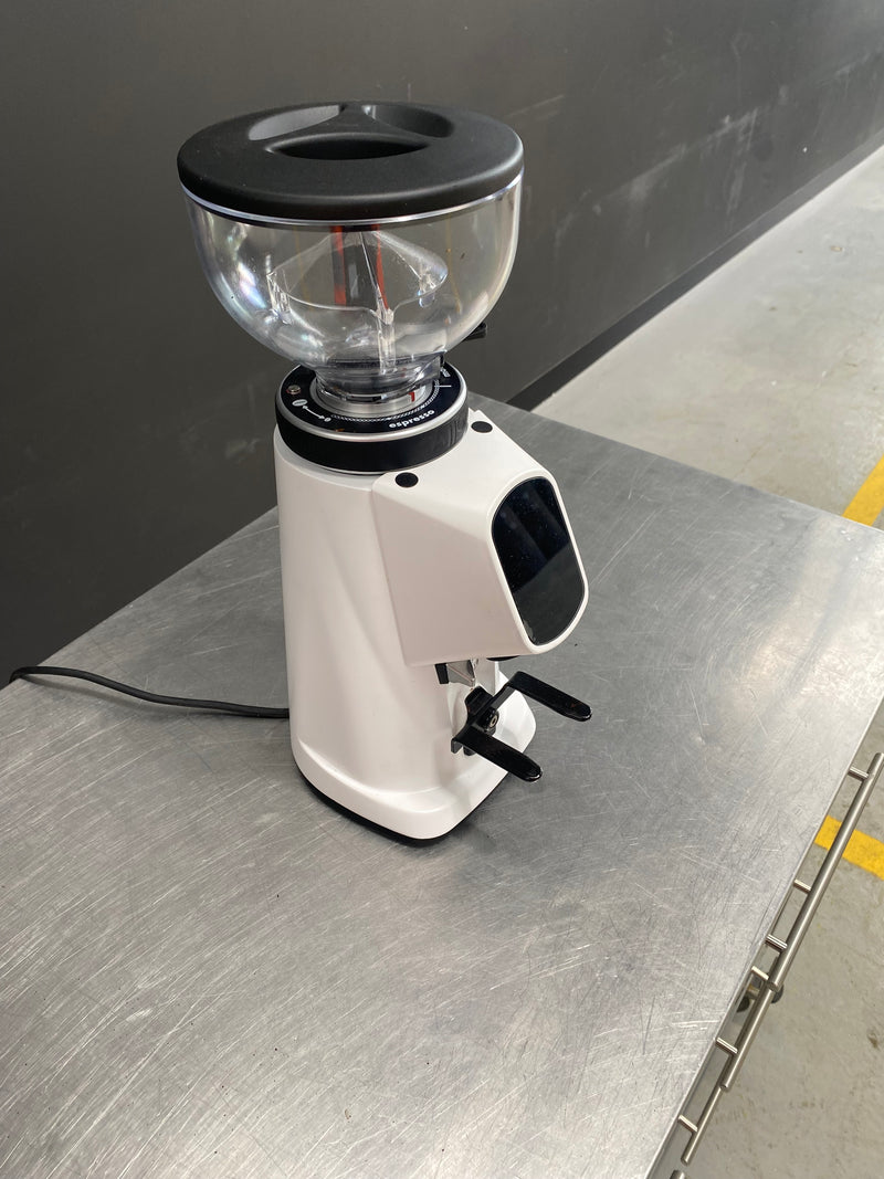 Fiorenzato F4 AllGround Coffee Grinder