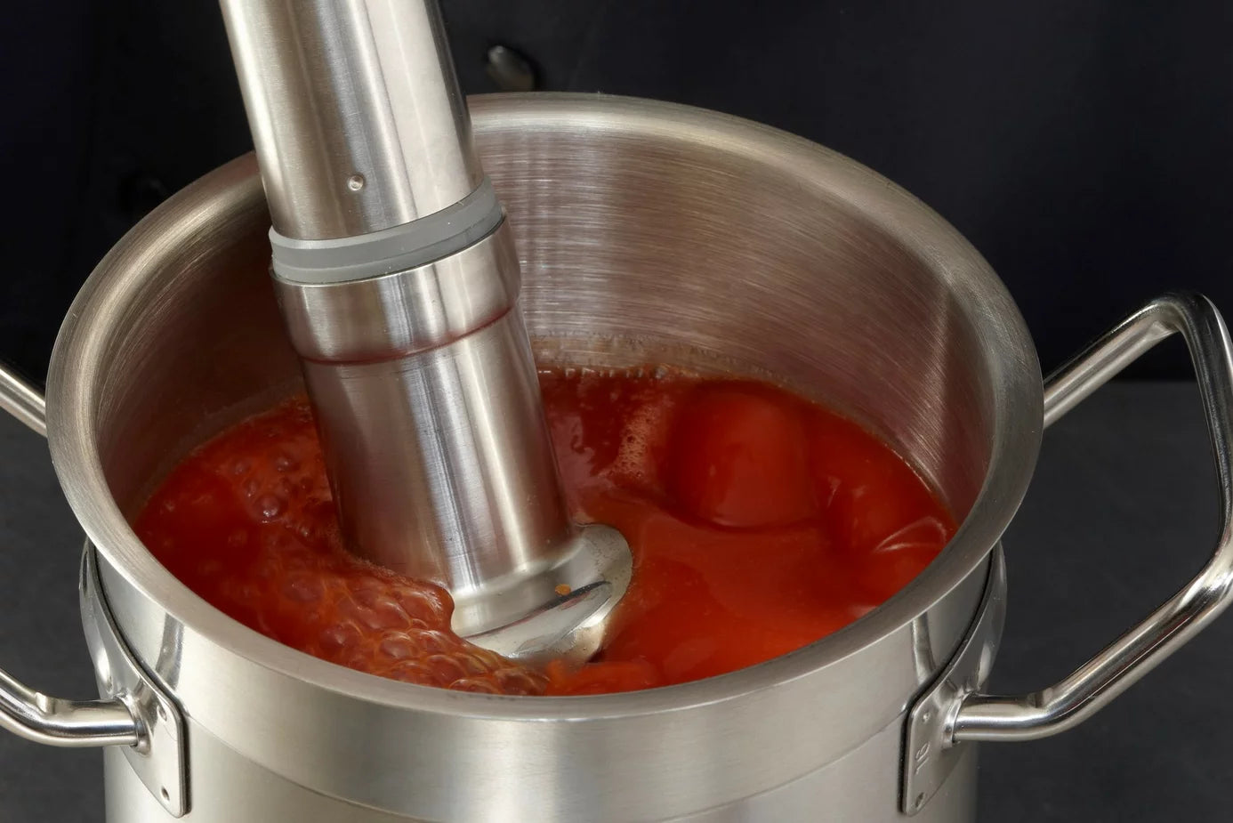 ROBOT COUPE - CMP 250 Combi - Large Immersion Blender - 34302B
