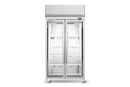 Skope 2 Glass Door Upright Display or Storage Freezer SKFT1000N-A