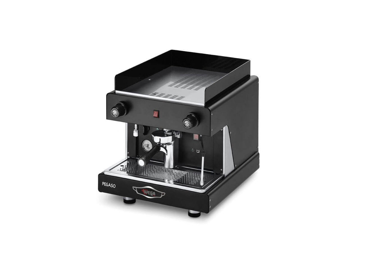 Wega Pegaso 1 Group