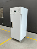 Exquisite GSF650H One Solid Door Upright Storage Freezers